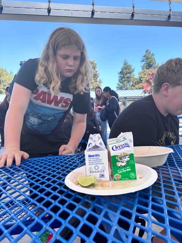 School Cafeteria Lunch on Perforated Metal Table