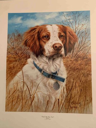 That’s My Dog, Too! - Brittany Spaniel Print by James H. Killen