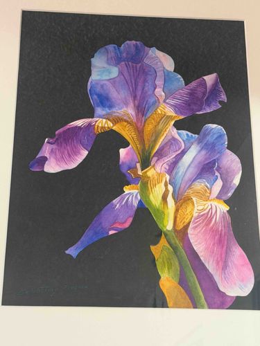 Contemporary Botanical Iris Watercolor Painting