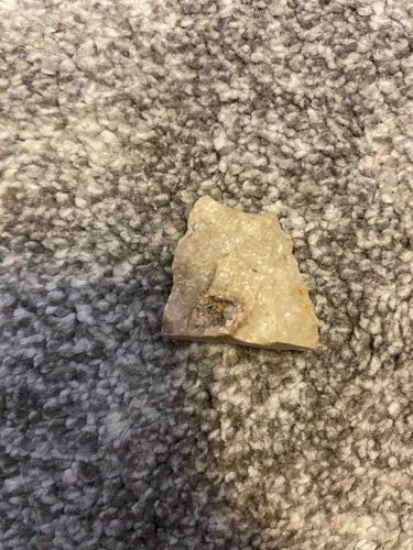 Unidentified Light-Colored Stone Fragment