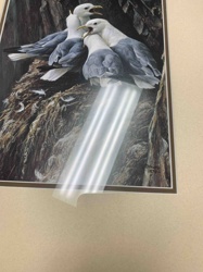 Rethman Kittlewakes Print, Dated 1979