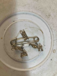 Novelty Pin with Charms