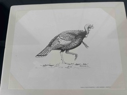Wild Turkey Pen and Ink Print by Jerry Raedeke