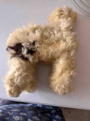 Vintage Plush Dog Toy, Poodle or Terrier Style