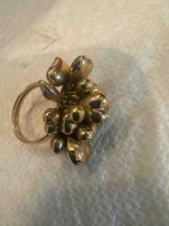 Cluster Design Ring