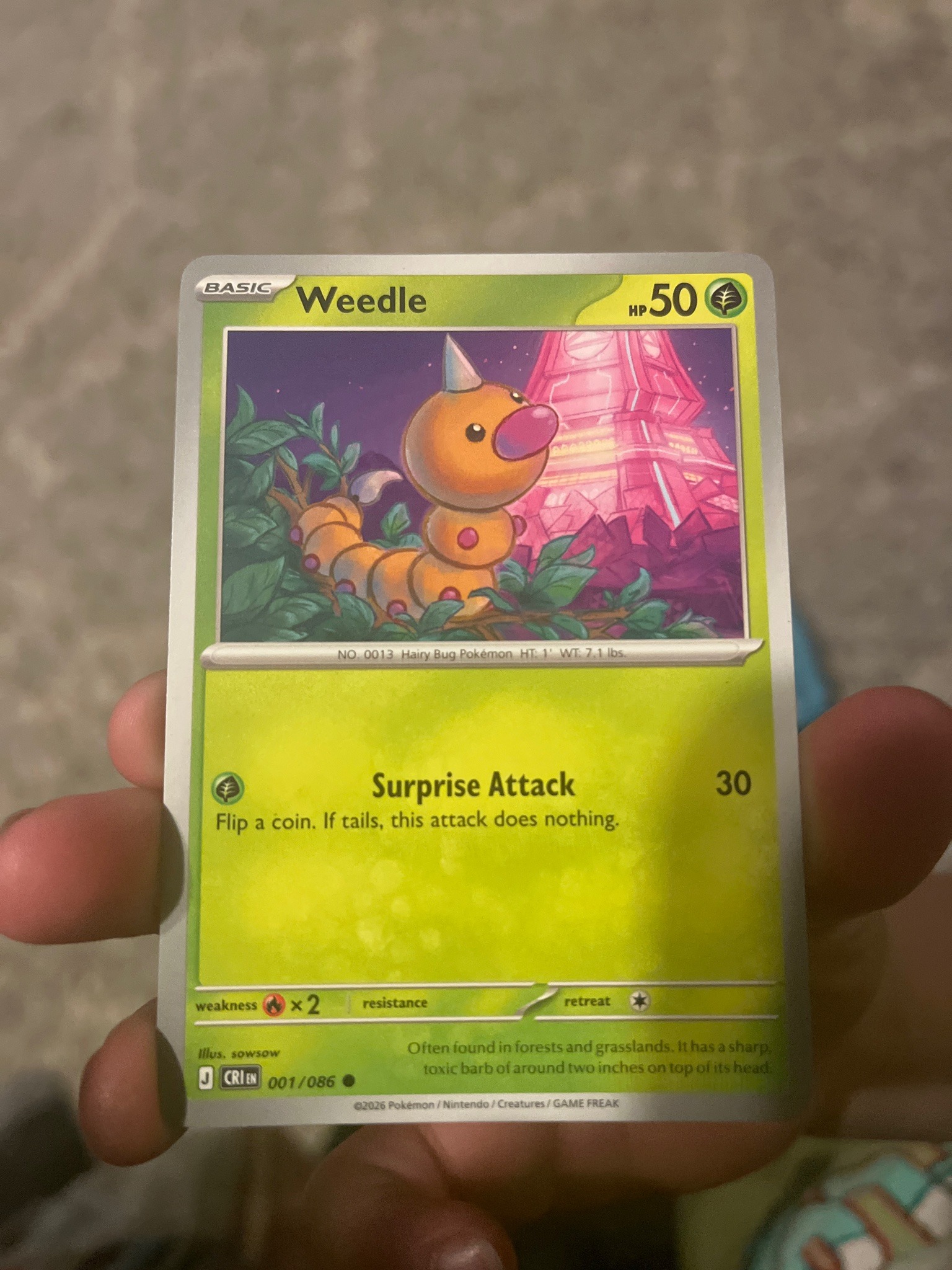 Submitted photo of Weedle Pokémon Trading Card (unauthenticated)