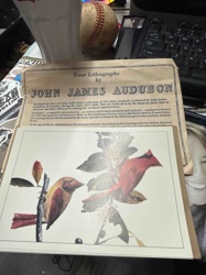 Four Lithographs by John James Audubon Print Set (Apparent Facsimile)