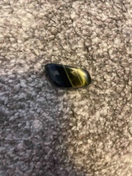 Tumbled Blue and Gold Tiger's Eye Stone