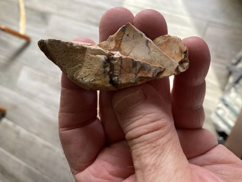 Chert Lithic Tool (Scraper or Projectile Point)