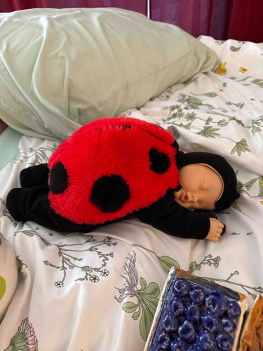 Ladybug Baby Doll Plush