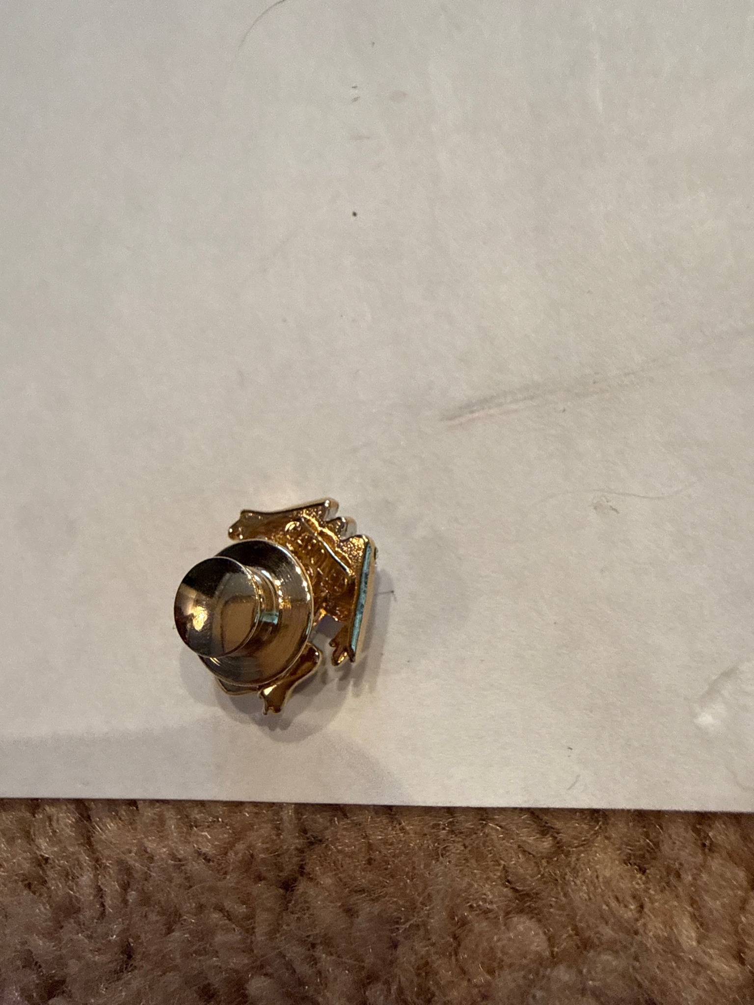 Submitted photo of Gold-toned lapel pin