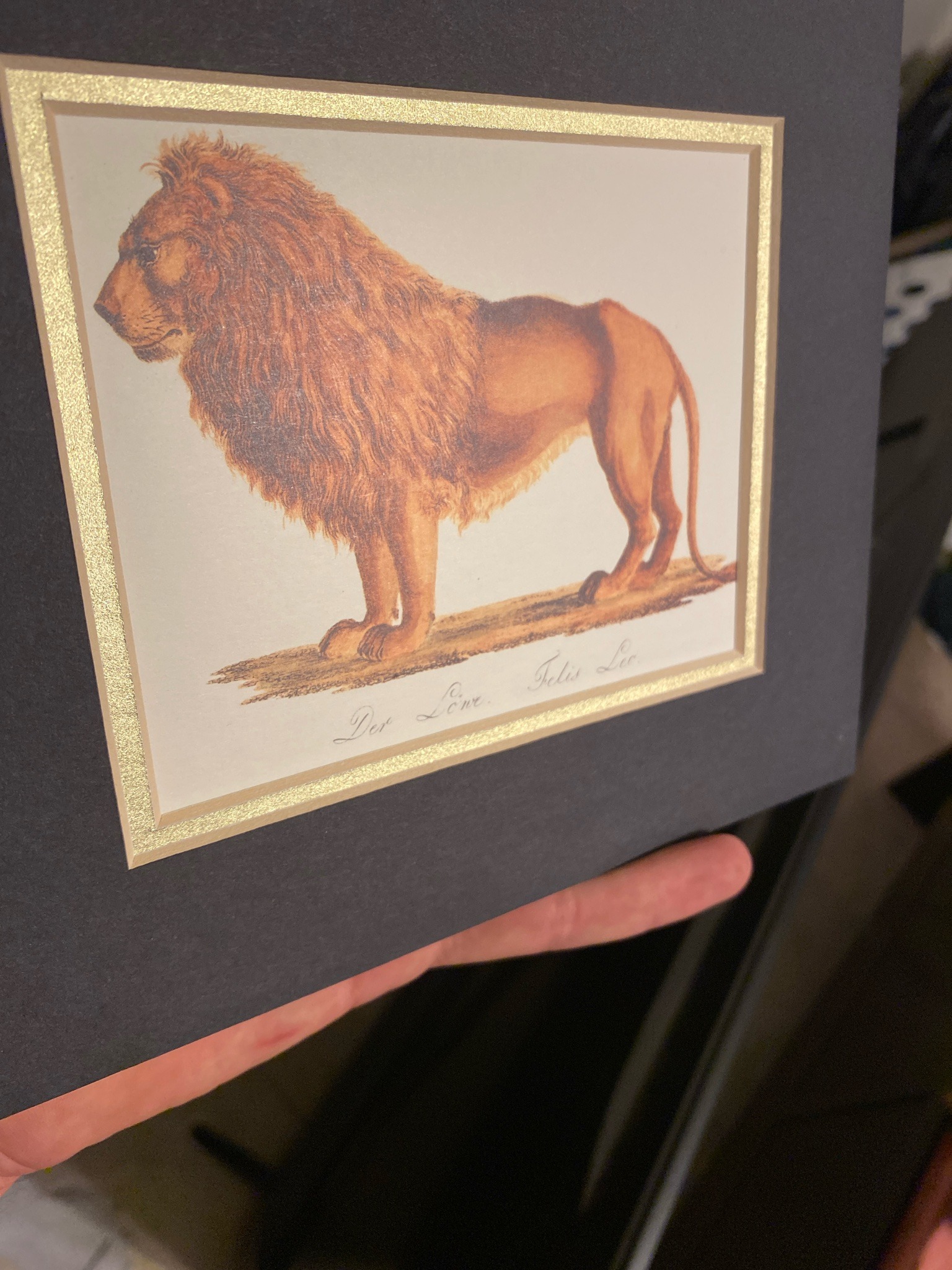 Submitted item photo