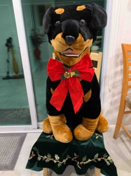 Rottweiler Plush Dog Christmas Decoration