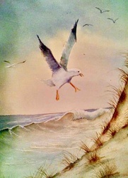 Seagull Coastal Scene