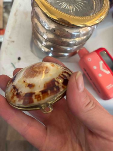 Seashell Trinket Box with Metal Hinge
