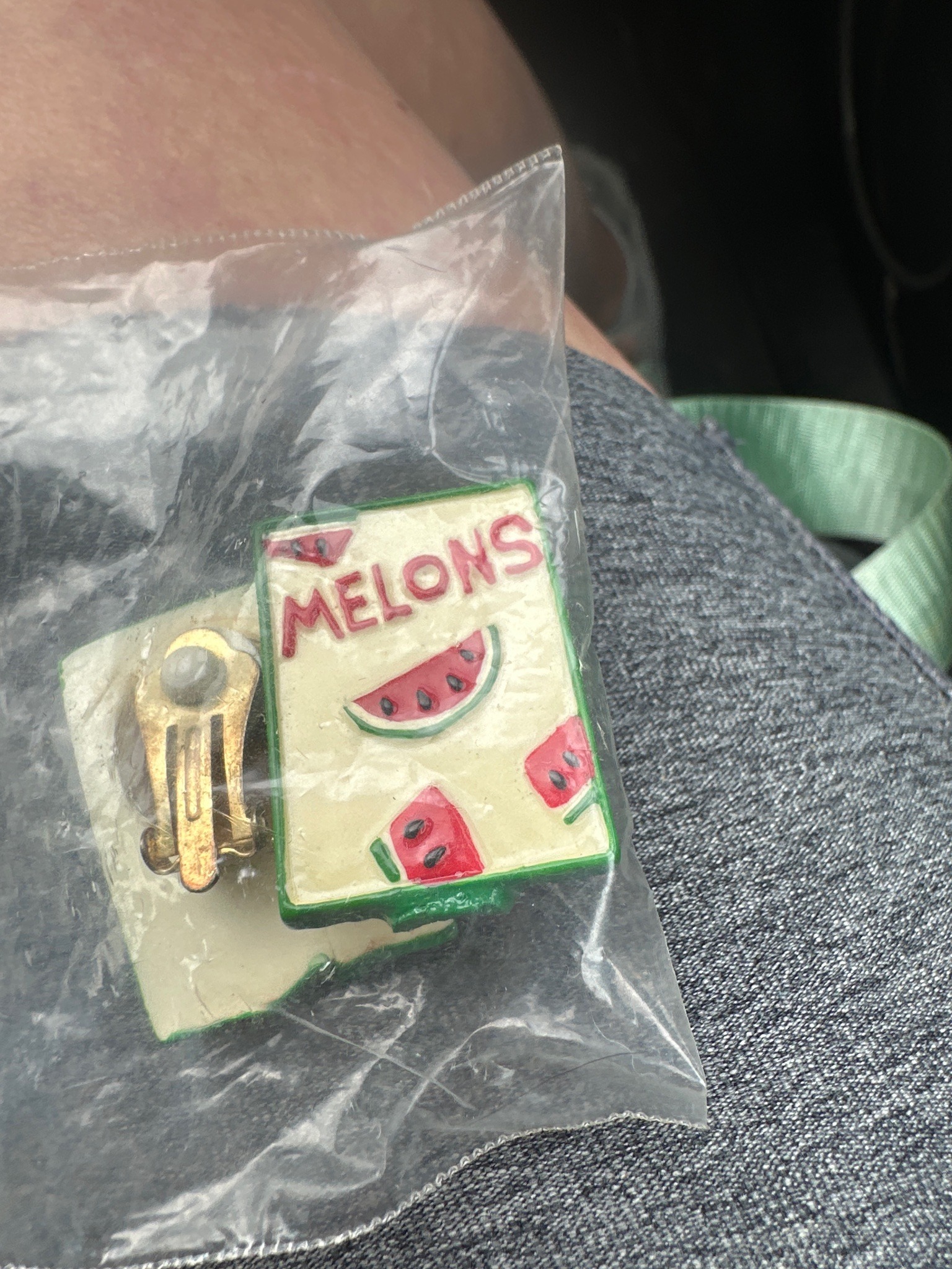 Submitted photo of Enamel Watermelon Figural Clip-On Earring (not authenticated)